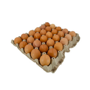 cubeta de huevos AA *30